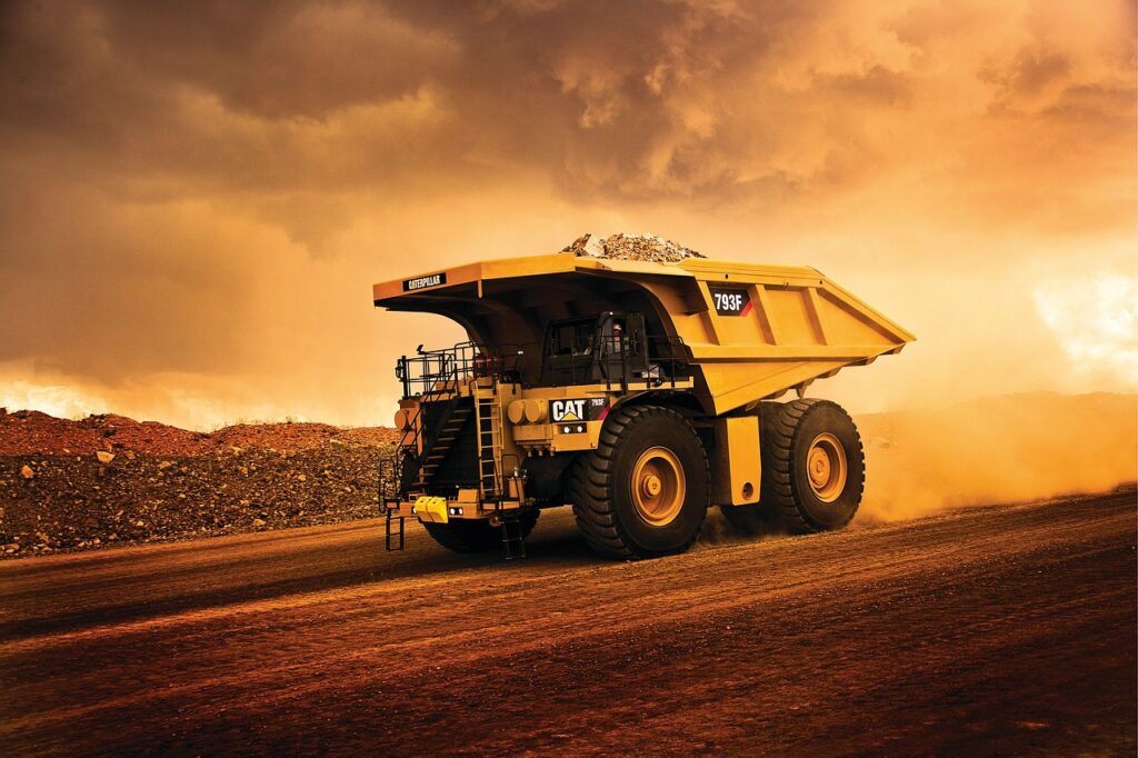 Servicios skw, pet, dumper, cat, 793f, caterpillar, construction machinery, construction work, work machine, shovel, earthmoving, animal, technology, heavy, building